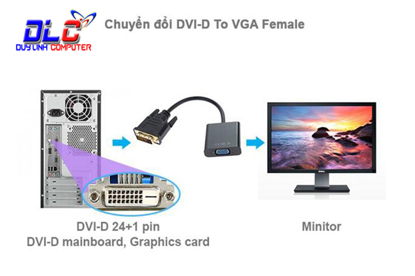Cáp chuyển DVI-D ( 24+1 ) to VGA