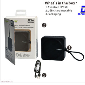 Loa Bluetooth chống thấm nước Avantree BTSP-950-BLK (A3042)